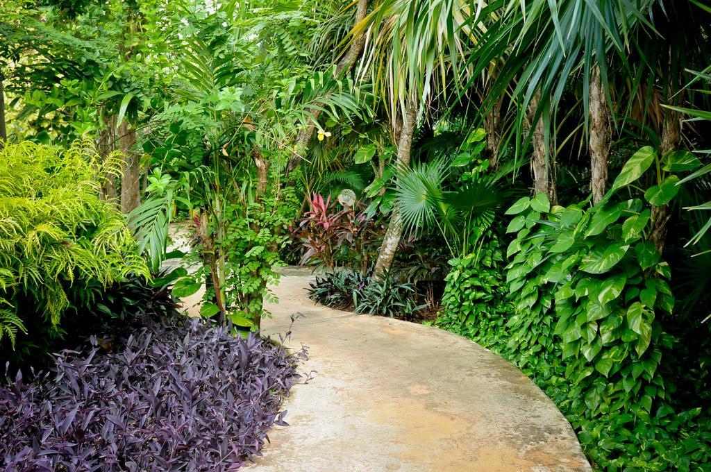 Amarte Maroma Hotel Eco Boutique Spa Punta Maroma Eksteriør billede