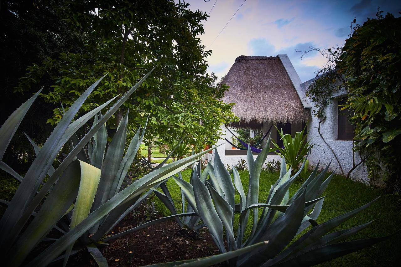 Amarte Maroma Hotel Eco Boutique Spa Punta Maroma Eksteriør billede