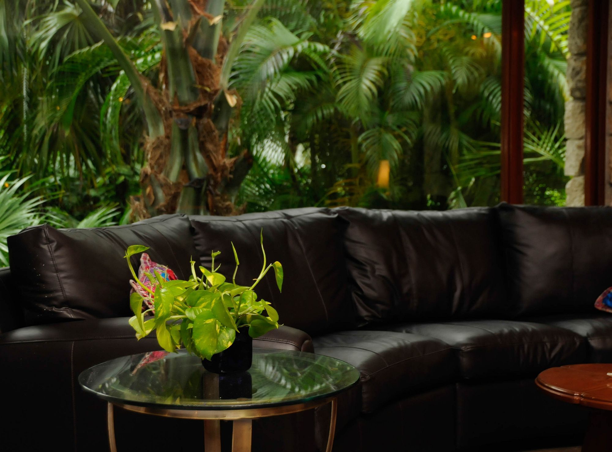 Amarte Maroma Hotel Eco Boutique Spa Punta Maroma Eksteriør billede